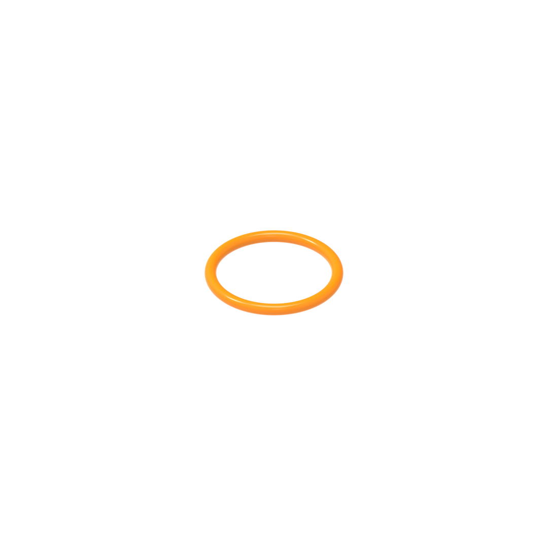 O-RING 17 BN 70